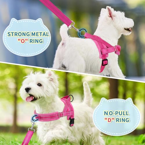 SlowTon No Pull Small Dog Harness and Leash Set, Puppy Soft Vest Harness Neck & Chest Adjustable, Reflective Lightweight H...