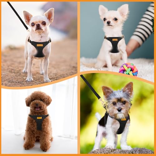 SlowTon Dog Harness Small Sized Dog - Soft XXS Dog Harness and Leash Set No Pull No Chock, Adjustable Lightweight Puppy Ha...