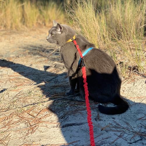 Travel Cat Harness and Bungee Leash Set - 2 in 1 Adjustable Escape Proof Cat Harness & Leash for Small, Medium, Large Cat...