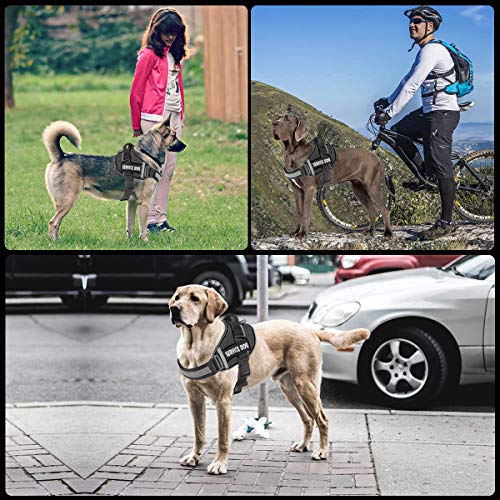 JSXD Dog Harness,No-Pull Service Dog Harness with Handle Adjustable Outdoor Pet Dog Vest 3M Reflective Nylon Material Vest...