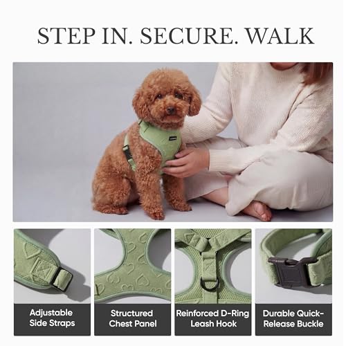 JoyCrafted-FBL No Pull Dog Harness & Leash Set | Lightweight Breathable Neoprene, Cute Heart Pattern, Adjustable Step-in V...