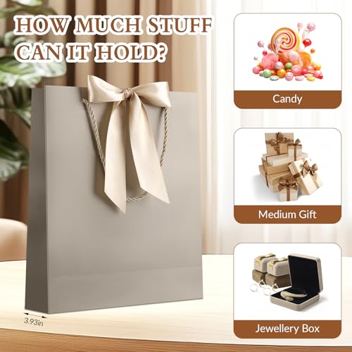 JMANNI Gift Bag, 1PCS Gift Bags with Ribbon and 1 Greeting Cards 2 Tissue Paper, Portable Paper Gift Bag with Handles, Bir...