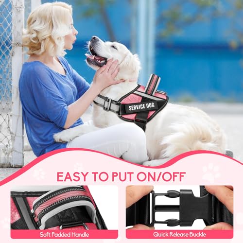 Service Dog Vest Harness and Leash Set, Animire in Training Dog Harness with 10 Dog Patches, Reflective Dog Leash with Sof...