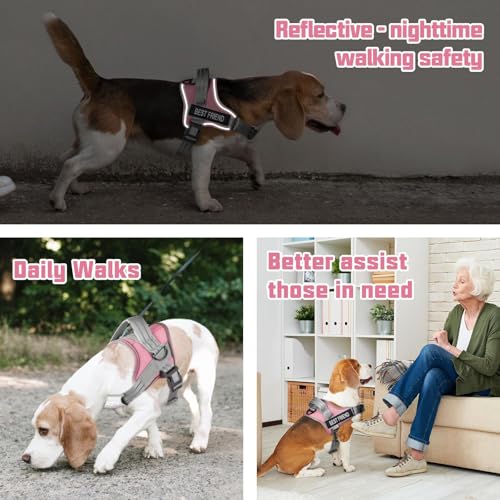 AUROTH Dog Harness and Leash Set, Soft Padded Service Dog Vest with 5.25FT Dog Leash, No Choke, Easy On Pet Vest, Adjustab...