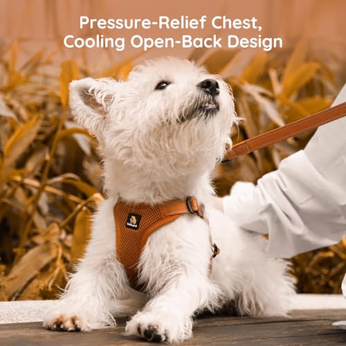 BELLA & PAL Adjustable Step-in Dog Harness, Puppy No-Pull Vest with Leash Set for XS/Small & Medium Dog, Breathable All-We...