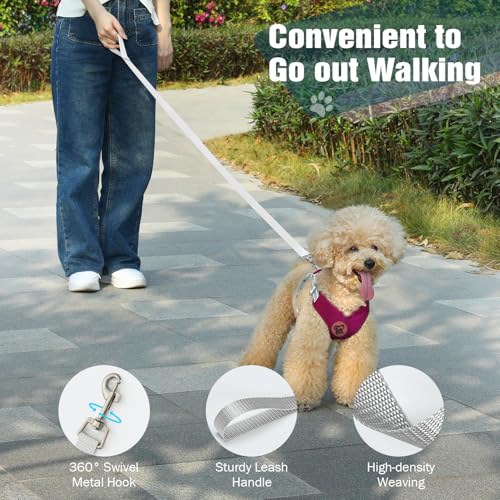 Pawaboo Small Dog Harness and Leash Set, Puppy Harness X-Frame No Pull No Choke, Dog Vest Harness Adjustable for Small Med...
