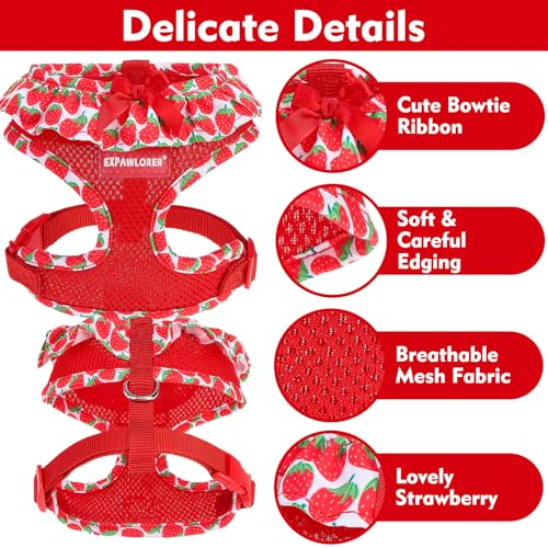 EXPAWLORER Cute Dog Harness Collar Leash Set - Red Girl Dog Harness Checkered Step-in Design, Adjustable No-Choke Lightwei...
