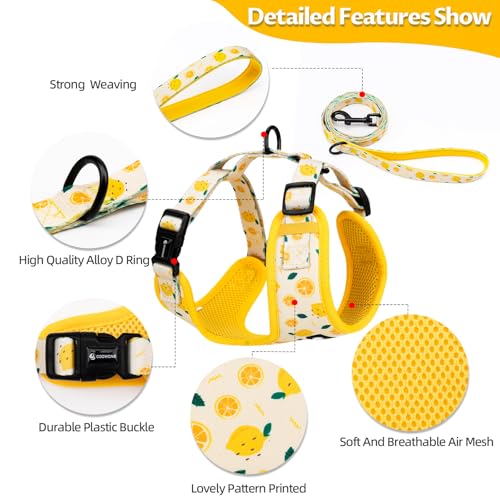 Dog Harness and Leash Set, Adjustable Dog Harness, Dog Leash, No Pull No Choke Puppy Harnesses for Walking Training for Sm...