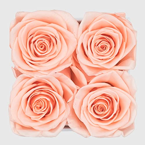 Graceful Fleurs Real Long Lasting Roses in a Box for Years, Preserved Fresh Forever Flowers for Delivery Birthday, Mothers...
