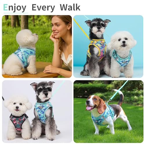 Jolifield Step in Dog Harness with Leash Set, Adjustable Soft Padded and Breathable Mesh for Small Sized Dog, Reflective N...