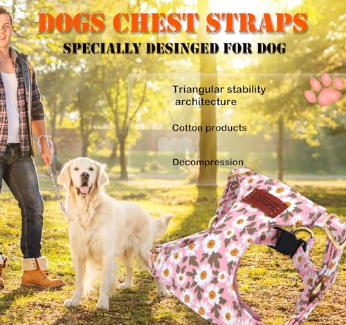 RosyLife No Pull Dog Harness & Leash Set, Adjustable XX-Small, Pink Daisy, Fashionable, Cute, Stylish, Escape Proof, Inclu...