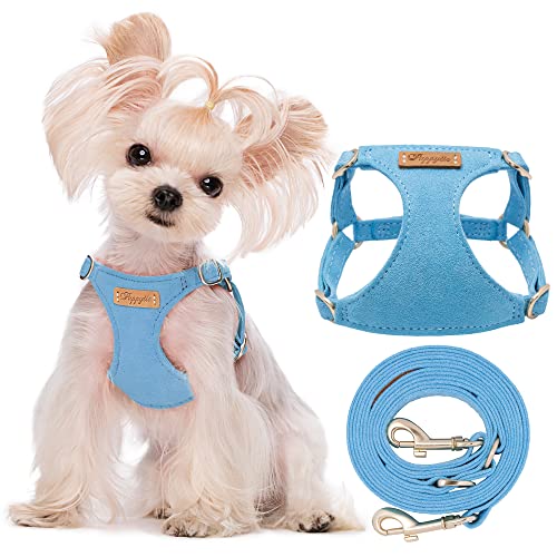 Puppytie Ultra-Light No-Pull XXS Dog Harness – Escape-Proof Adjustable Vest for Small Breeds (2.2-6lbs)