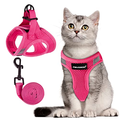 FAYOGOO Cat Harness and Leash Set | Upgrade Step-in Escape Proof Harness | Lightweight Soft Vest, No-Choke Design for Walk...