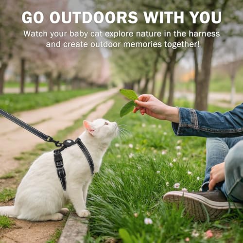 SCENEREAL Cat Harness and Leash Set Escape Proof with Airtag Holder, Reflective Pet Harnesses for Walking, Adjustable Kitt...