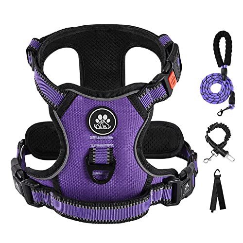 IVY&LANE No Pull Dog Harness for Medium Dogs, Dog Vest Harness with Leash, Safety Belt and Storage Strap, Fully Adjustable...
