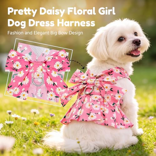 BAEJMJK Dog Dress Bowknot Harness Leash Set for Small Dogs Cats Daisy Floral Girl Dog Dresses Cute Puppy Princess Clothes ...