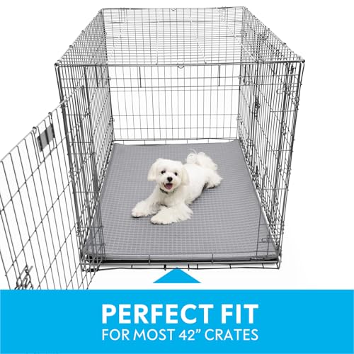 Paw Inspired Cooling Orthopedic Crate Pad for Dogs and Cats, Washable Memory Foam Dog Cooling Mat (41x28 Inch Large Size f...