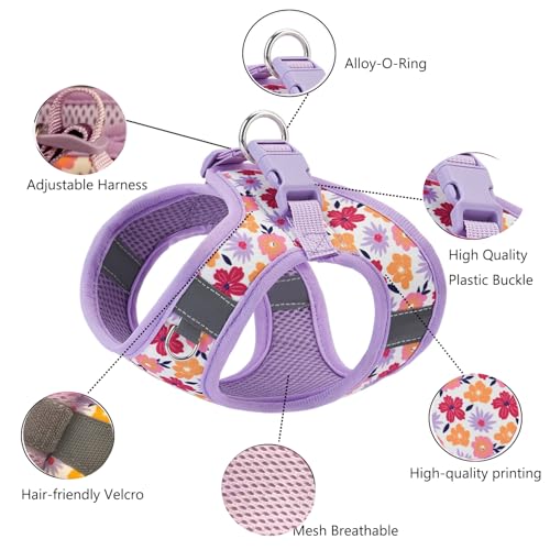 Small Dog Harness and Leash Set, Step in Dog Harness No Pull for Walking Running Training, Puppy Essentials for Dogs Cat B...