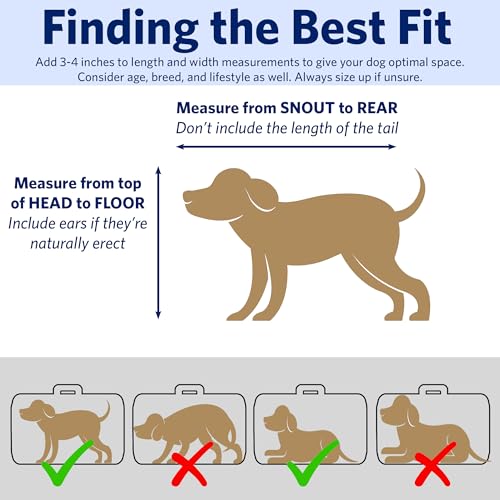MidWest Homes for Pets 18-Inch iCrate for Tiny Breeds, Up to 10 lbs, Single Door Folding Dog Crate with Divider Panel, Lea...
