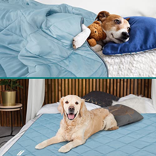 PetAmi Premium Cooling Dog Blanket | Lightweight Fluffy Pet Throw Blanket Bed Cover for Dogs, Cat, Puppies | Pet Blanket F...