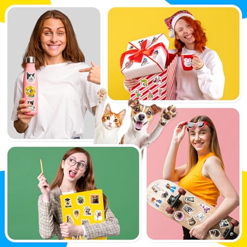 Yqskt 200 PCS Cat and Dog Meme Stickers Pack, Funny Meme Pet Stickers for Water Bottles Car Hard Hat Laptop, Waterproof Vi...