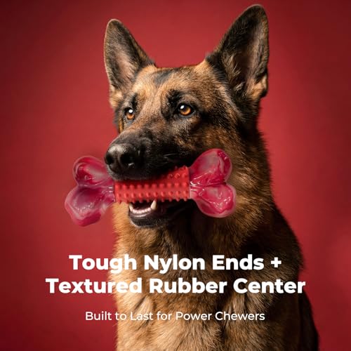 Apasiri Tough Dog Toys for Aggressive Chewers: Beef Flavored Long Lasting Dog Bones for Large Dogs, Heavy Duty Nylon & Rub...