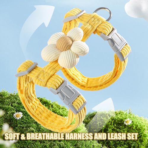 LeLehome Cat Harness and Leash Set Escape Proof Comfortable Lightweight Adjustable Strap for Walking, Travel, Kitten, Pupp...