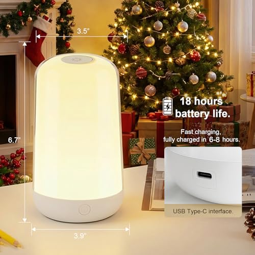 FRIDEKO HOME RGB Touch Bedside Lamp for Nightstand, 3 Color Temperatures Rechargeable Battery Night Light, Dimmable Mood L...
