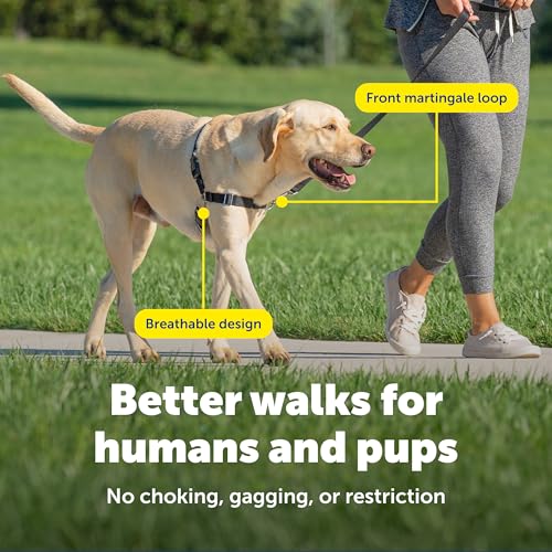 PetSafe Easy Walk Harness for Dogs - Pull-Free Walks - Patented Martingale Loop Design - Front Chest Leash Attachment - Ad...