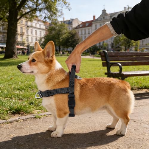 Annchwool No Pull Dog Harness with Front Clip and Easy Control Handle-Belly & Chest Adjustable Dog Harness and Leash Set f...