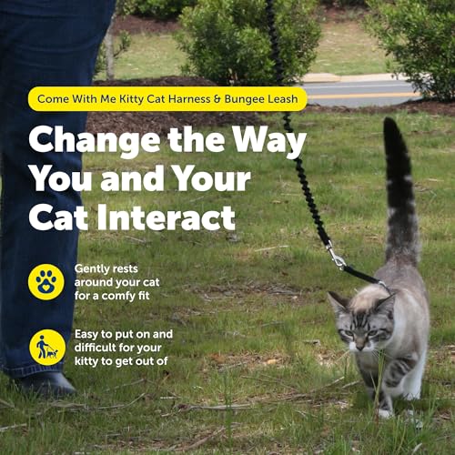 PetSafe Come With Me Kitty Cat Harness & Bungee Leash - Comfortable Cat Harness with Lightweight Bungee Leash for Outdoor ...