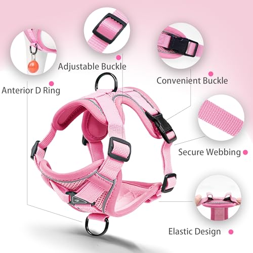 Jolifield No Pull Dog Harness with Leash Set for Small Sized Dog, Reflective Adjustable No Choke Front Clip Cat Vest Harne...