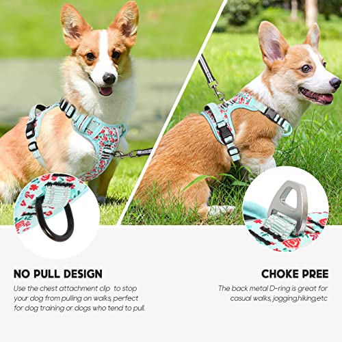 Timos Dog Harness, No-Pull Pet Harness with 2 Leash Clips, 3 Snap Buckles Adjustable Soft Padded Dog Vest, Reflective No-C...