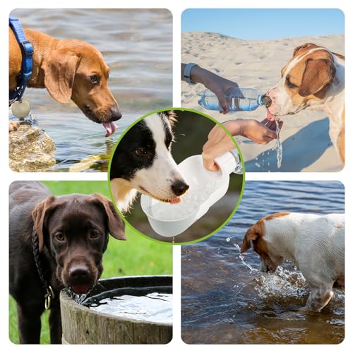 Dog Water Bottle, Leakproof Portable Water Bottle for Dogs, Dog Travel Water Bottles with Convenient Bottles Strap, Dog Tr...
