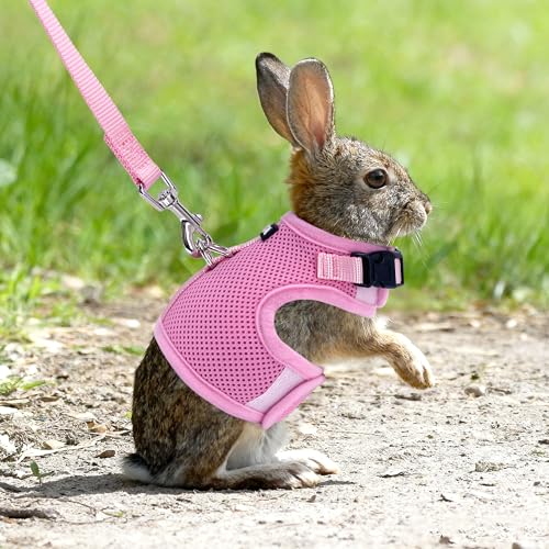 AIITLE Adjustable Rabbit and Leash Set - Lightweight & Portable, Padded Vest with Magic Tape Design, Indoor/Outdoor Use (T...