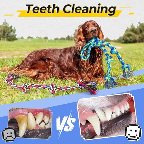 Eefitoys Tough Dog Rope Toys for Aggressive Chewers, Tough Tug of War Dog Toys for Large, Medium & Small Dogs – 5 Pack Inc...