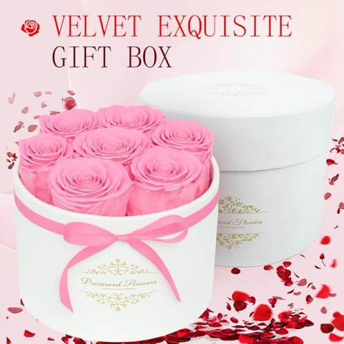 7 Forever Flowers in a Luxury Suede Box, Preserved Roses Birthday Gifts for Women, Romantic Anniversary Wedding Gifts for ...