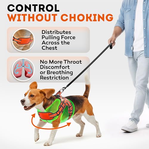 Dog Harness for Small Dogs Back D-Ring Control No Choking Pressure-Free Chest Design Comfortable Padded Adjustable Reflect...