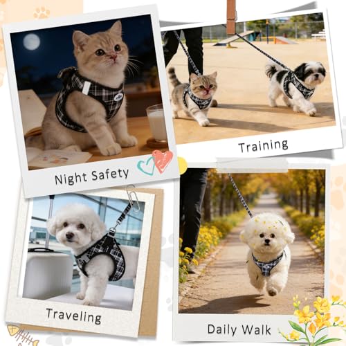 Gyuzh No Pull Cat Harness - 3-in-1 Step in Harness Collar Leash Set for Puppy & Kitten Walking & Training, Lightweight Pla...