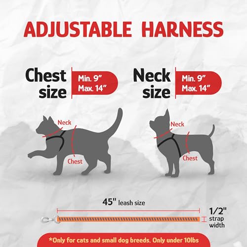 Filbert Cat Harness and Leash Set with Reflective Strip, Thin Cat Harness Escape Proof with Leash, Step-in, Adjustable, In...
