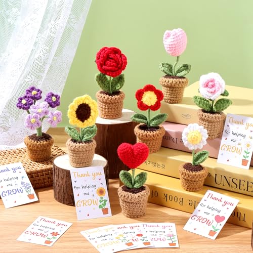 8 Set Thank You for Helping Me Grow Crochet Flower Pots Teacher Appreciation Gift Bulk Positive Handmade Crochet Flowers w...