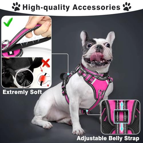 WINSEE Pet Harness Collar and Leash Set, All-in-one Reflective Dog Harness No Pull with Adjustable Buckles for Puppies, Sm...