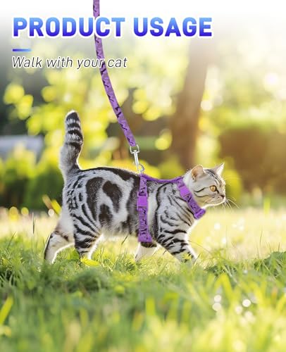 Gaahkai 3 Pack Cat Leash and Harness Set, Lightweight Adjustable Collar Escape Proof for Cats