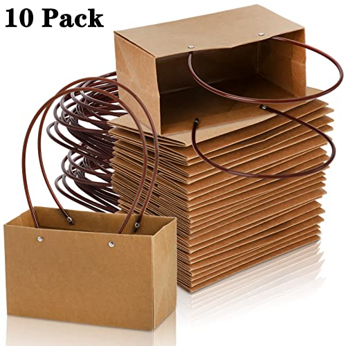 DEAYOU 10-Pack Kraft Paper Flower Gift Bags, Brown Bouquet Bag Box with Handle, Small Brown Paper Carrier Tote Bags with W...