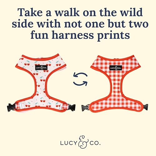 Lucy & Co. Cheery Cherries, Cute Reversible Dog Harness Walking Halter - Best Designer Pet Harnesses for XS - XL Dogs - Pa...