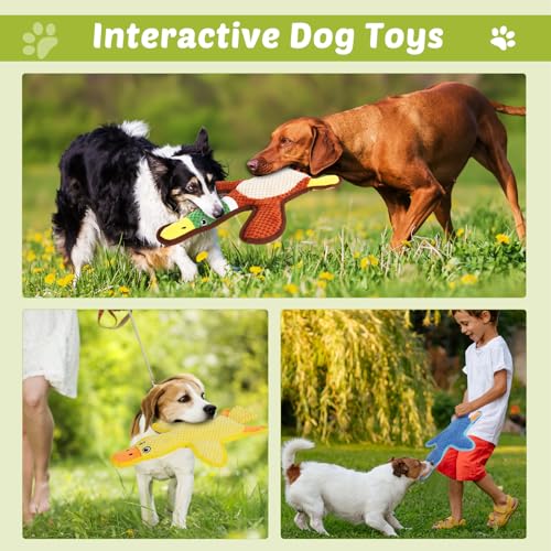 Eneston Dog Toys 3-Pack Cute Duck Shapes Puppy Toys No-Stuffing Squeaky and Crinkle Interactive Dog Chew Toy for Small to ...