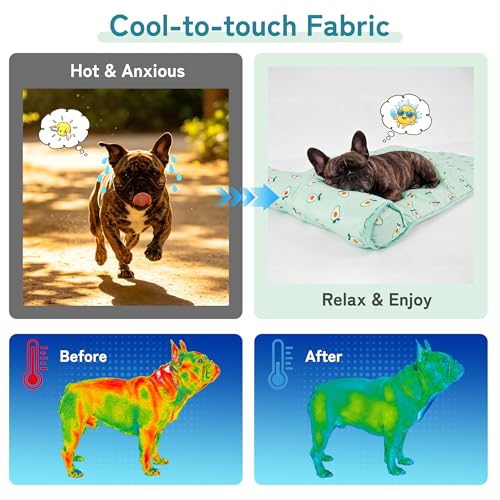 PUMYPOREITY Cooling Dog Bed, Pet Cooling Mat with Pillow, Ice Silk Cooling Dog Blanket, Self Cooling Pad for Cat,Dog, Wash...