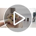 BBJ WRAPS Flower Arrangement Boxes Floral Envelop Box Premium Mixed Style Florist Bouquet Packaging, Perfect for Florists ...