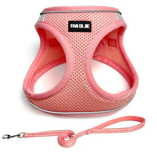 Dog Harness and Leash Set, No Pull Soft Mesh Pet Harness -in Puppy Pet Vest Harnesses for XS,Small,Medium Dogs and Cats Pi...