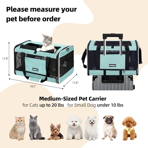 PAPZER Cat Carrier Soft-Sided Travel Bag for Medium to Large Cats Over 15lbs, Small Dog Carrier Crate Top Entry Breathable...